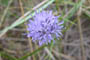 Lakolk Strand, Rm, d. 14.07.2004. Bjarne Nielsen