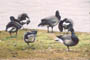 Margrethe Kog, d. 24.04.2004. Svend Ove Jensen