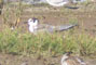 1K, Margrethe Kog, d. 06.08.2005. Svend Ove Jensen